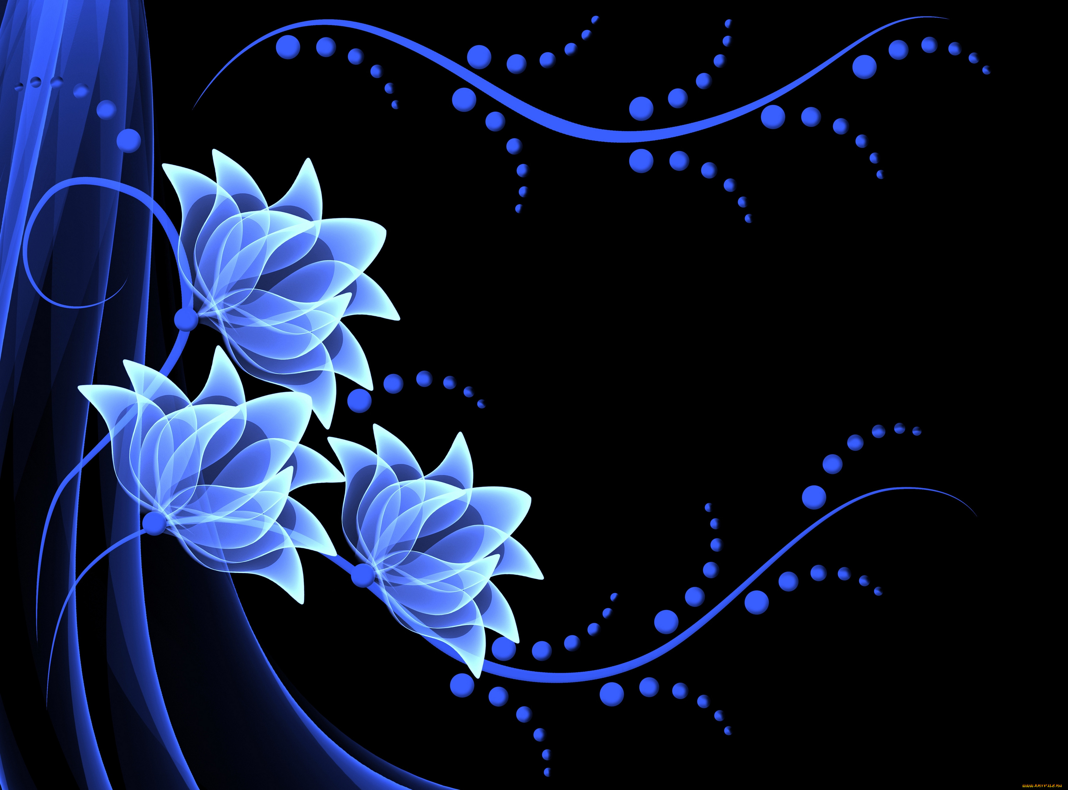 3 , abstract , , , , flowers, vector, background, neon